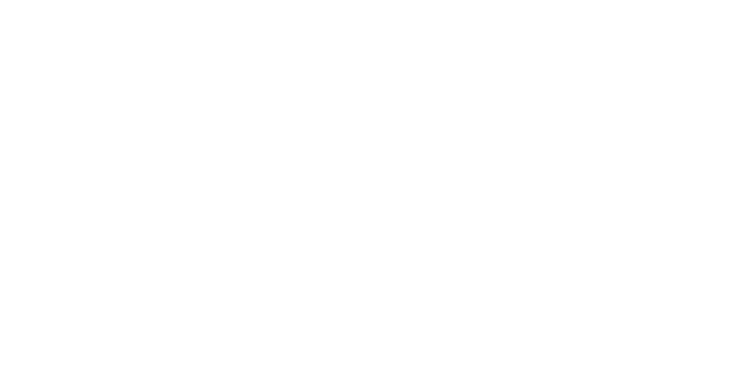 logo 30 ans blanc